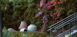 Rudd Oakville Estate
Garden Design
Calimesa, CA