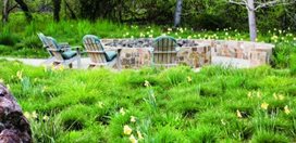 1
Garden Design
Calimesa, CA