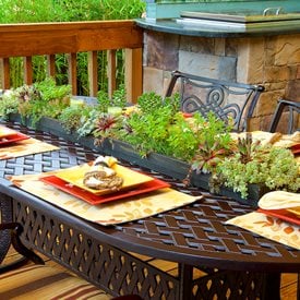 Succulent table arrangement