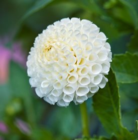 'Tiny Treasure' - Photo by: Andrea Jones.