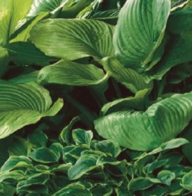 ‘SUM AND SUBSTANCE’ - Photo by: J. Paul Moore.