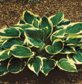 ‘MINUTEMAN’ - Photo by: J. Paul Moore.