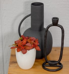 Network News™ Media™ nerve plant