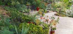Garden & Landscape Design, Ideas and Tips | Garden Design