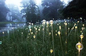 Bruce Munro, Atlanta Botanical Garden, Lighted Flower Stems
Garden Design
Calimesa, CA