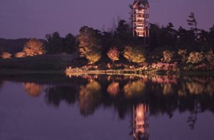 Chicago Botanic Garden, Lighted Trees On Water
Garden Design
Calimesa, CA