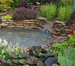 garden pond with waterfalls