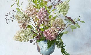 Flower Arrangement, Hydrangea, Forsythia, Ferns
Desert Garden Succulents & Cacti
Garden Design
Calimesa, CA