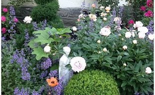 Topphotocaseygarden_resize2
Ornamental Grasses in Pots
Garden Design
Calimesa, CA