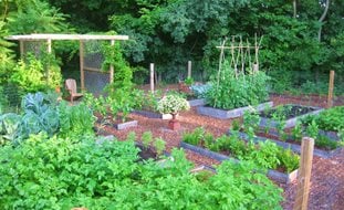 Vegetable Garden Ideas & Design | Garden Design