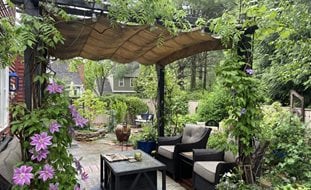Patio Pergola With Vines
Alli Guleria
Washington D.C.,