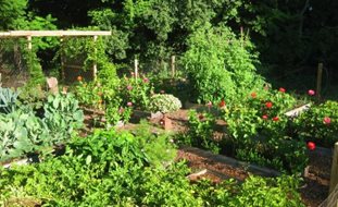 Vegetable Gardens
Garden Design
Calimesa, CA