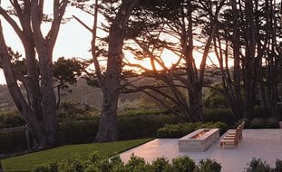 Linear Fireplace Fixture
Ornamental Grasses in Pots
Andrea Cochran Landscape Architecture
San Francisco, CA