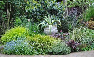 Agave In Container In Garden Bed
Garden Design
Calimesa, CA