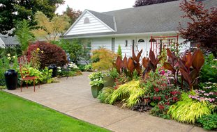 Front Landscape With Cannas And Japanese Forest Grass
Garden Design
Calimesa, CA