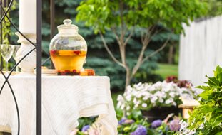 Summer Garden, Hydrangeas, Summer Party
Proven Winners
Sycamore, IL