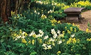A Rustic Perennial Paradise
Garden Design
Calimesa, CA