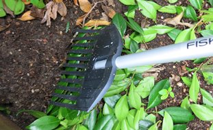 Spring, Raking
Ornamental Grasses in Pots 
Fiskars