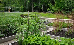 Bountiful
McCullough's Landscape & Nursery LLC
Johnstown, OH