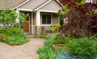 Front Entryway With Plantings
Garden Design
Calimesa, CA