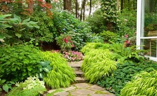 Layered Shade Garden, Shade Garden With Impatiens
Garden Design
Calimesa, CA