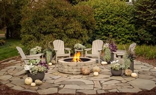 Outdoor Fire Pit With Seating, Fall Fire Pit
Proven Winners
Sycamore, IL