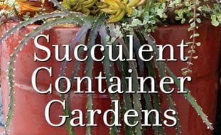 Succulent Container Gardens, Debra Lee Baldwin
Garden Design
Calimesa, CA