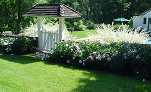 The Power of a Garden Portal
Garden Design
Calimesa, CA