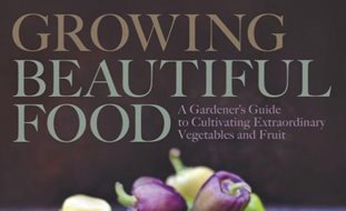 Vegetable Garden Design Ideas Garden Design - 