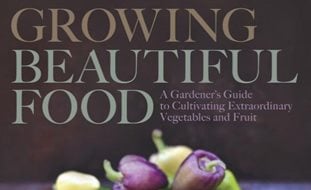 Growing Beautiful Food
Garden Design
Calimesa, CA