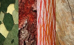 Barks
Garden Design
Calimesa, CA