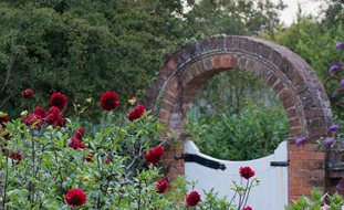 Brick Arch, Herbaceous Border
Garden Design
Calimesa, CA