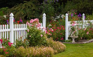 Garden Design
Calimesa, CA