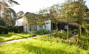 Pleached Crab Apple Trees
Garden Design
Calimesa, CA