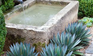 Water Trough, Antique Fountain
Scott Shrader
West Hollywood, CA