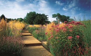 Joe Pye Weed And Persicaria
A Rustic Perennial Paradise
Garden Design
Calimesa, CA