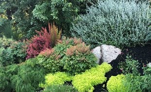 Colorful Foliage Garden Bed
Garden Design
Calimesa, CA