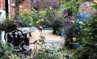 Small Garden With Roses, English Garden, Cottage Garden
Garden Design
Calimesa, CA