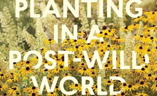 Planting In A Post-Wild World
Ornamental Grasses in Pots
Garden Design
Calimesa, CA