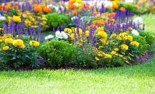 Colorful Garden With Grass
Shutterstock.com
New York, NY