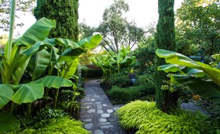 Gravel Path, Stone Path
Lillyvilla Gardens
Portland, OR