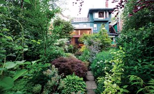 Garden Design
Calimesa, CA