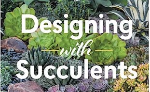 Succulent Gardens Garden Design