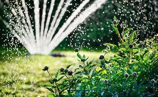 Garden Sprinkler, Irrigation, Watering
Shutterstock.com
New York, NY