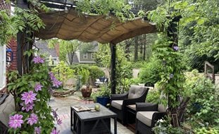 Patio Pergola With Vines
Alli Guleria
Washington D.C.,