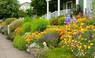 Sloped Front Yard, Hillside Landscaping
Garden Design
Calimesa, CA