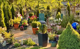 Springfield Garden, Missouri Garden
Garden Design
Calimesa, CA