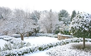 Winter Garden, Garden Snow
Shutterstock.com
New York, NY