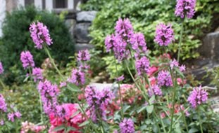 7
Garden Design
Calimesa, CA