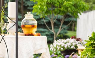 Summer Garden, Hydrangeas, Summer Party
Proven Winners
Sycamore, IL